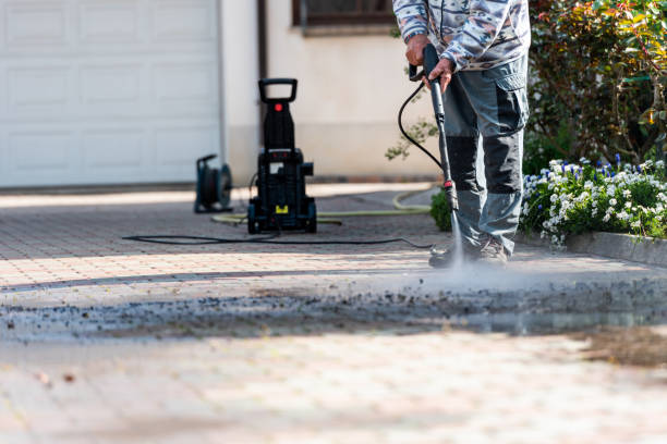 Best Specialty Cleaning in Burbank, CA