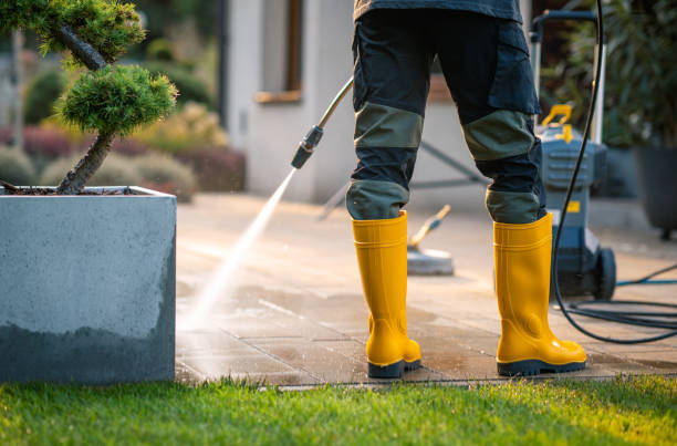 Best Gutter Cleaning in Burbank, CA